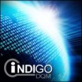 Indigo DQM Data Management System